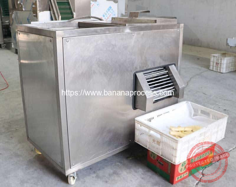 Single-Inlet-Green-Banana-Peeling-Machine-Testing-for-Brasil-Customer